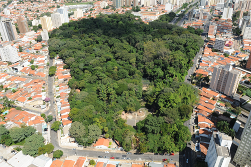 CITIES4FORESTS – CAMPINAS (SP)